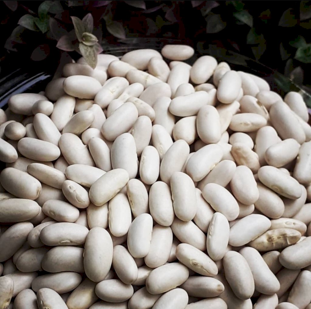 FEIJÃO BRANCO 500g
