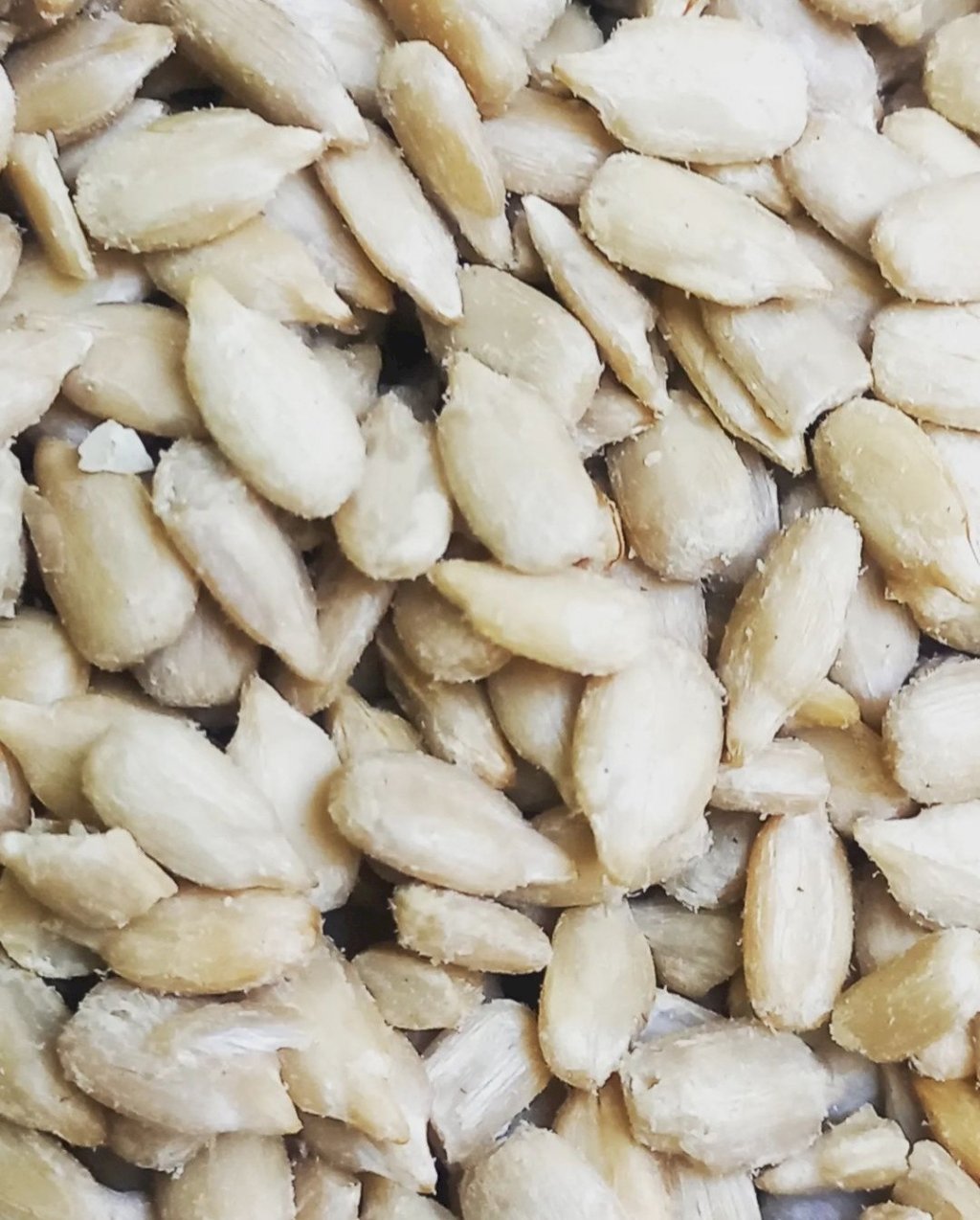 SEMENTE DE GIRASSOL CRUA (100G)