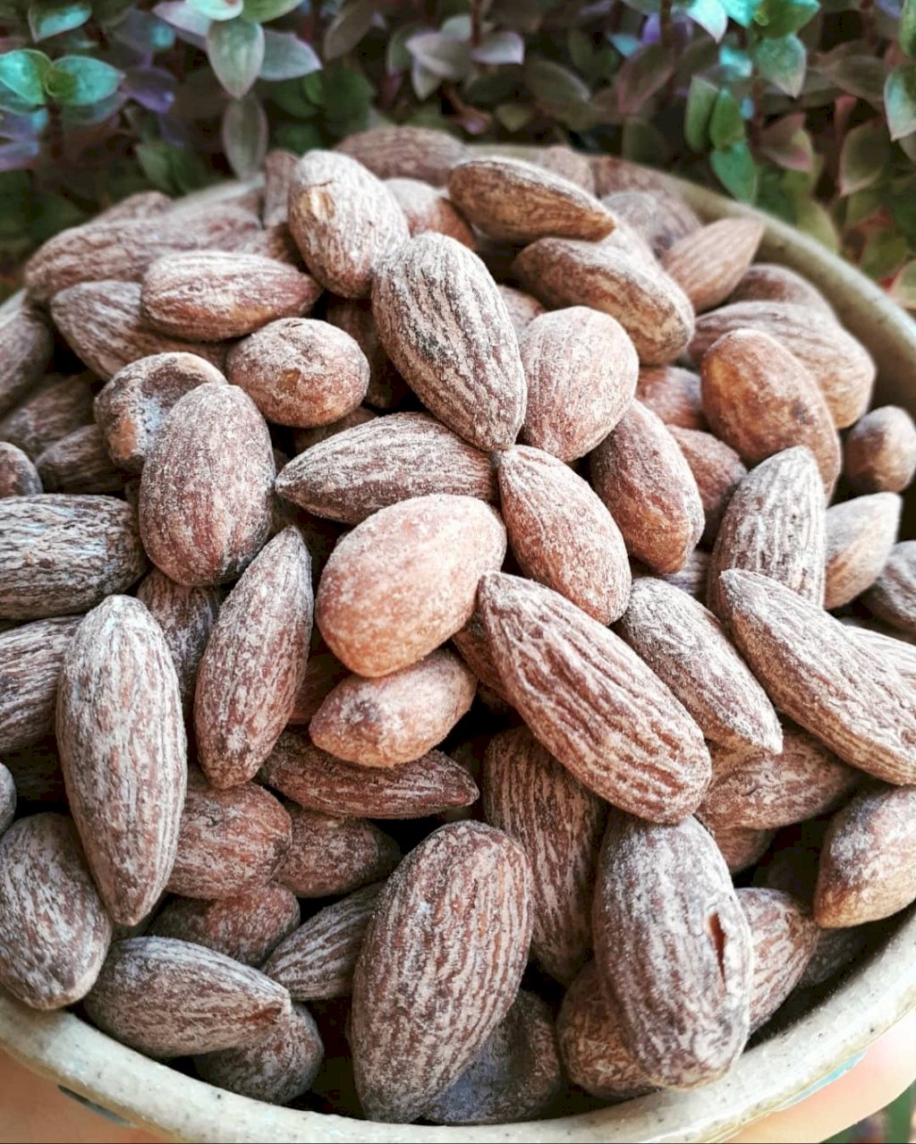 AMÊNDOA TORRADA SALGADA 100g