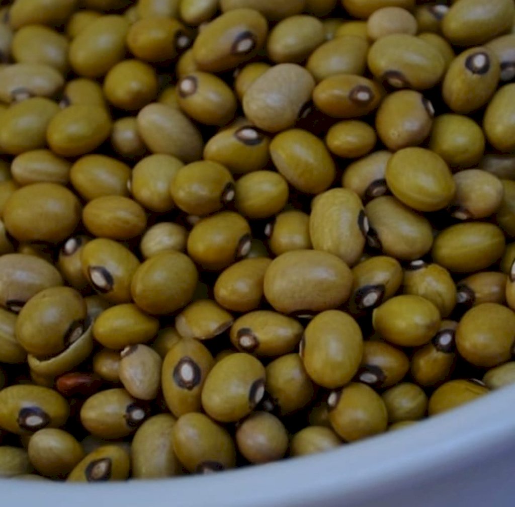 FEIJÃO BOLINHA (1KG)