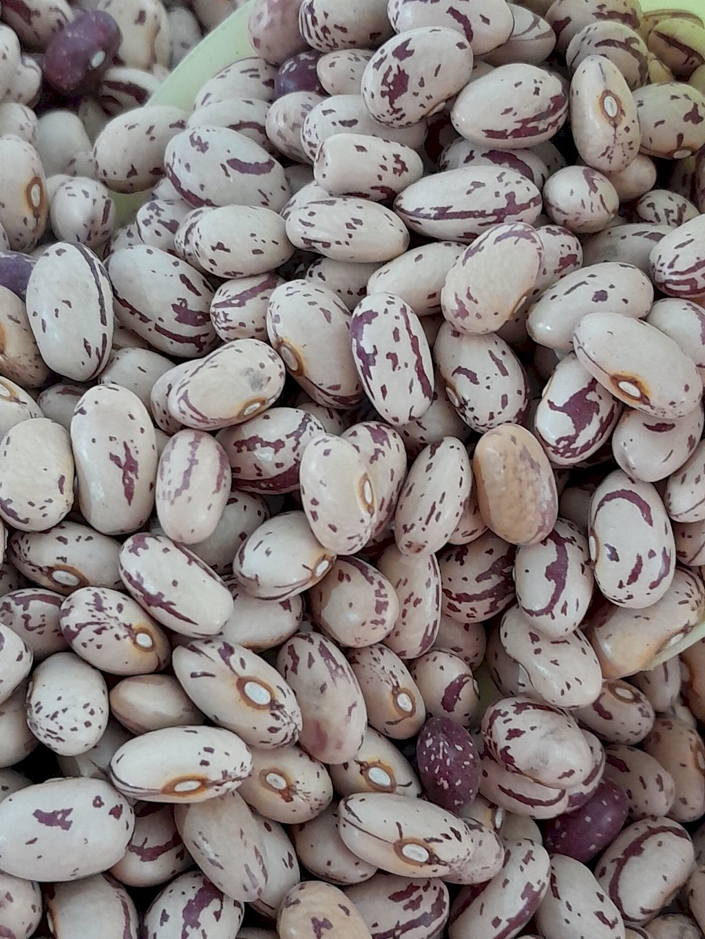 FEIJÃO RAJADO (1KG)