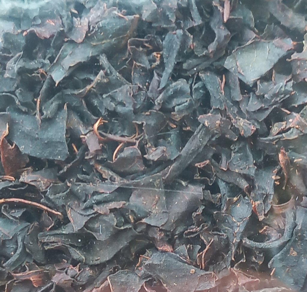 CHÁ PRETO - Camellia sinensis (50G)