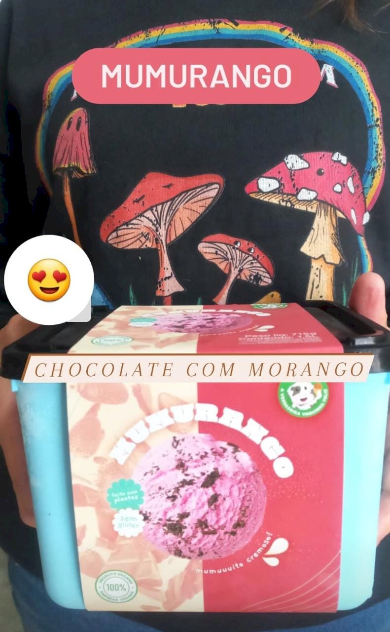 SORVETE DE MORANGO COM CHOCOLATE 1,5 LITROS - DONA MUUH VEGAN