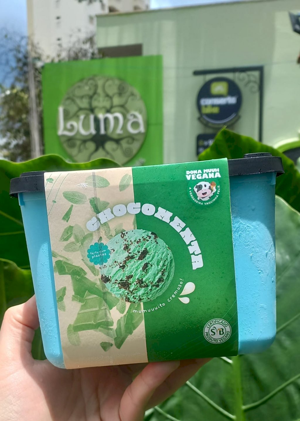 SORVETE DE CHOCOMENTA 1,5 LITROS - DONA MUUH VEGAN