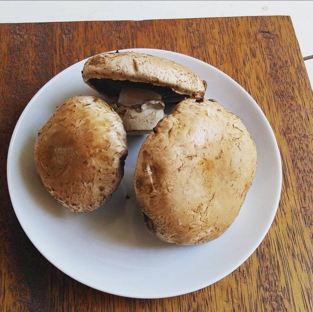 COGUMELO PORTOBELLO - 200G ESPAÇO COPAÍBA