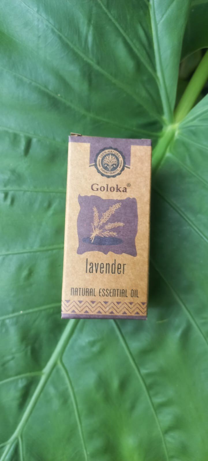Óleo Essencial Natural de Lavanda 10ml | Goloka