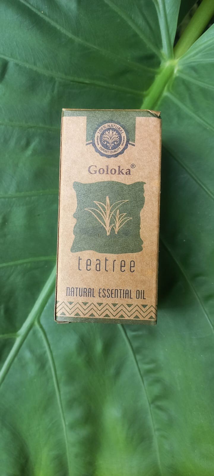 Óleo Essencial Natural de Melaleuca 10ml | Goloka