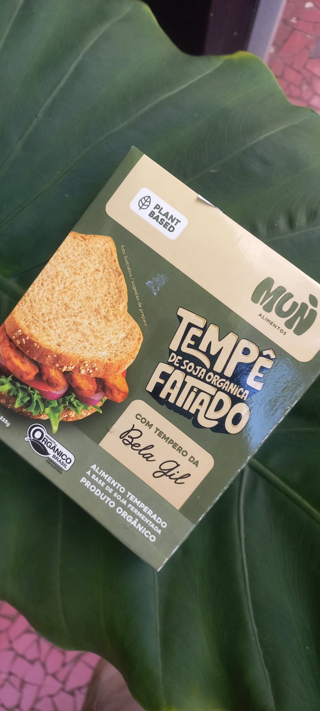 Tempê de Soja Orgânica Fatiado