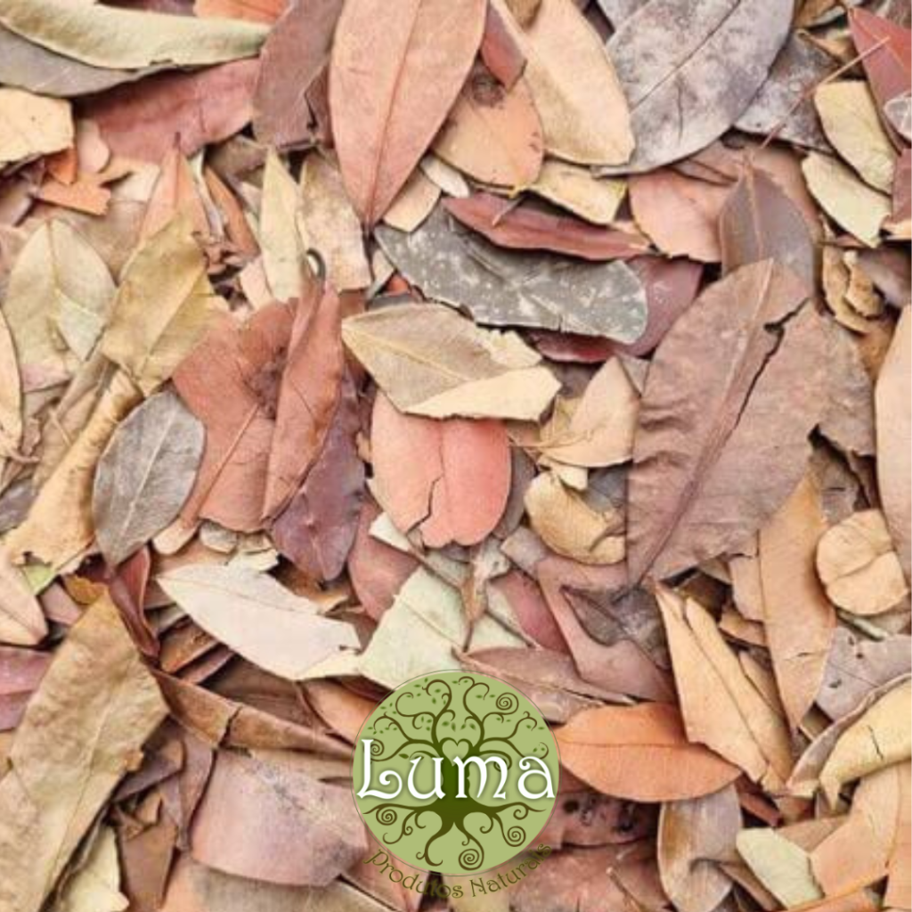 Chá de Insulina / Pedra Hume 100g