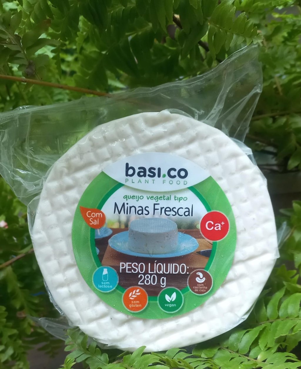 Queijo Vegetal tipo Minas Frescal | BasiCo Plant Food 280g