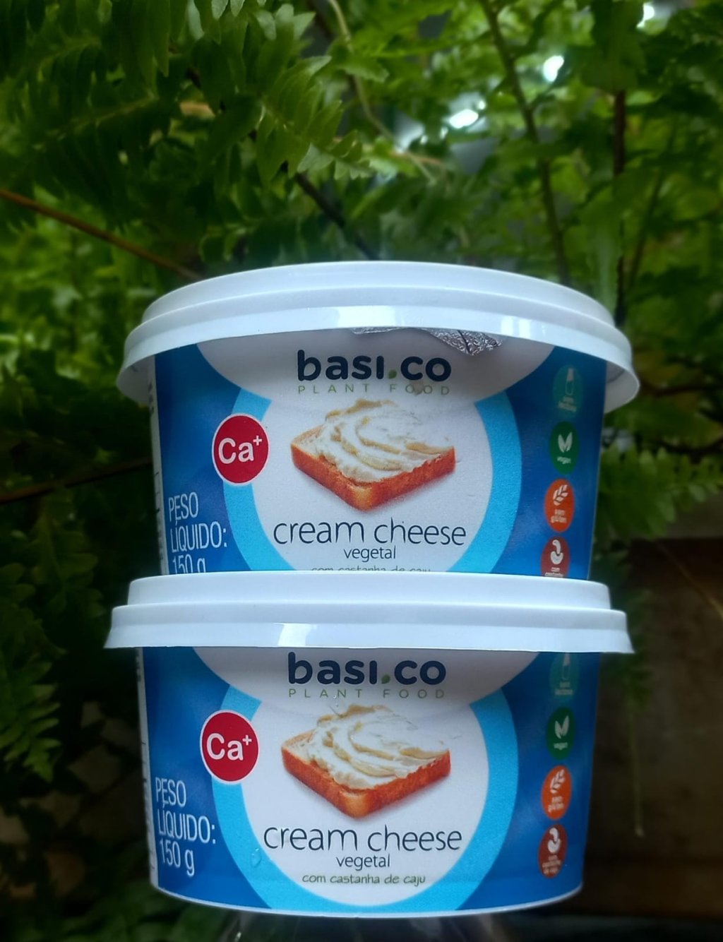 Cream Cheese Vegetal | BasiCo Plant Food NOVO PESO 200g