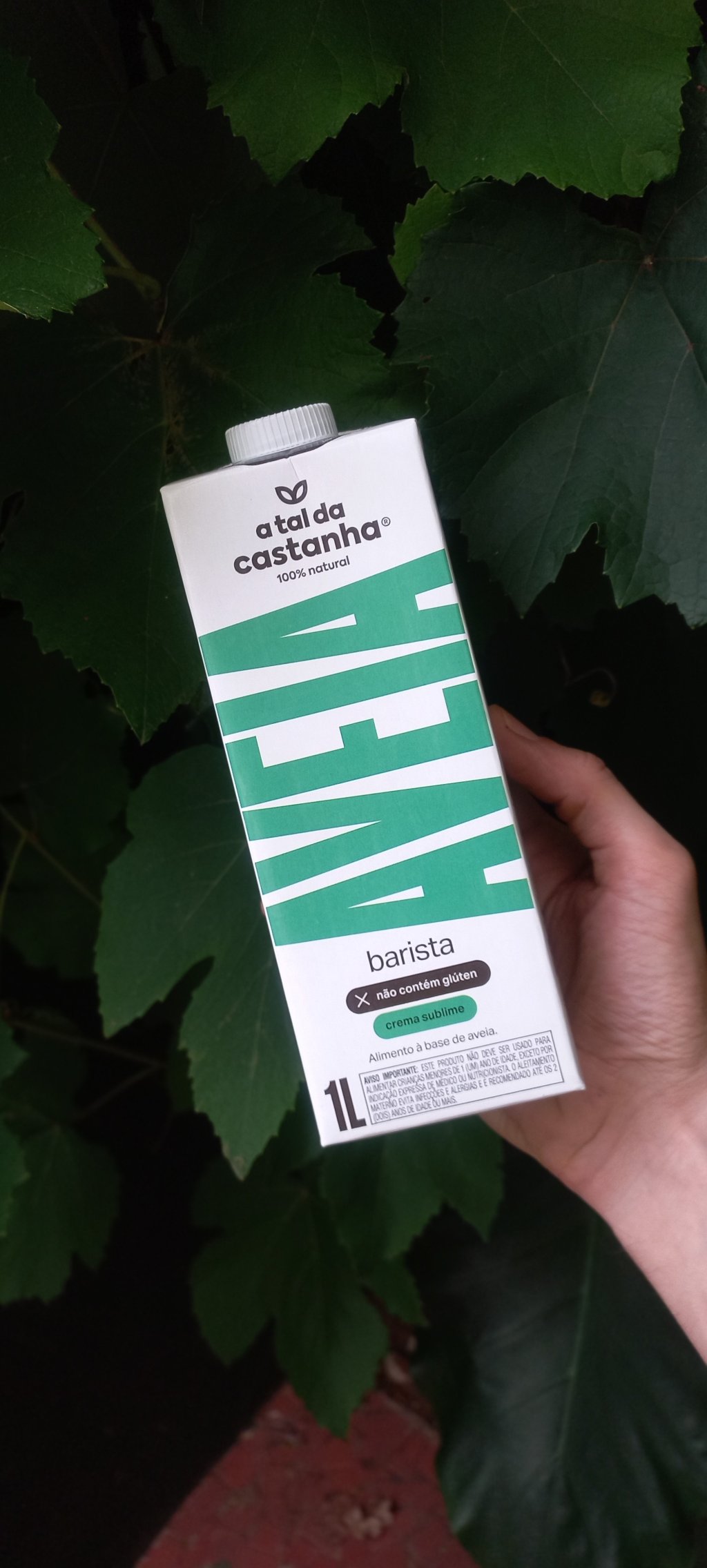 Barista | A Tal da Castanha | feito de aveia 1L
