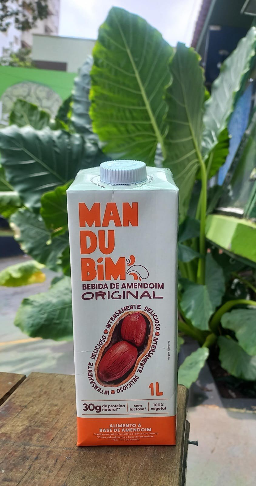 Bebida de Amendoim Mandubim | Original 1L