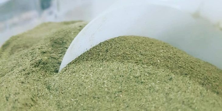 Ora Pro Nobis em Pó | 100g