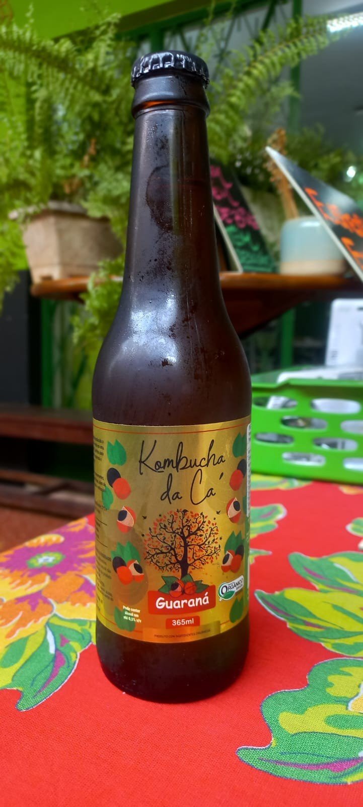 Kombucha da Cá | Guaraná Orgânico 365ml