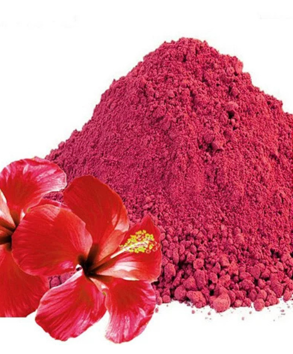 Hibisco em Pó 100g