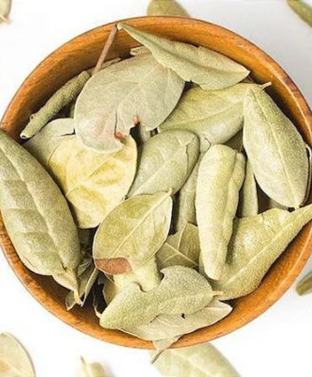 Boldo do Chile desidratado 100g