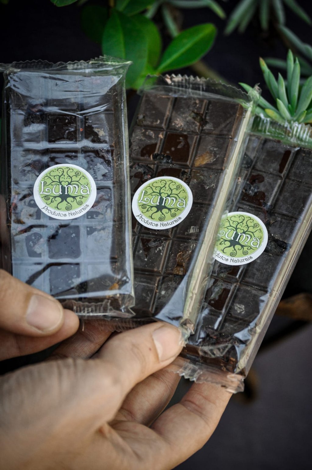 Barrinha de Chocolate 70% com Nuts | 95g