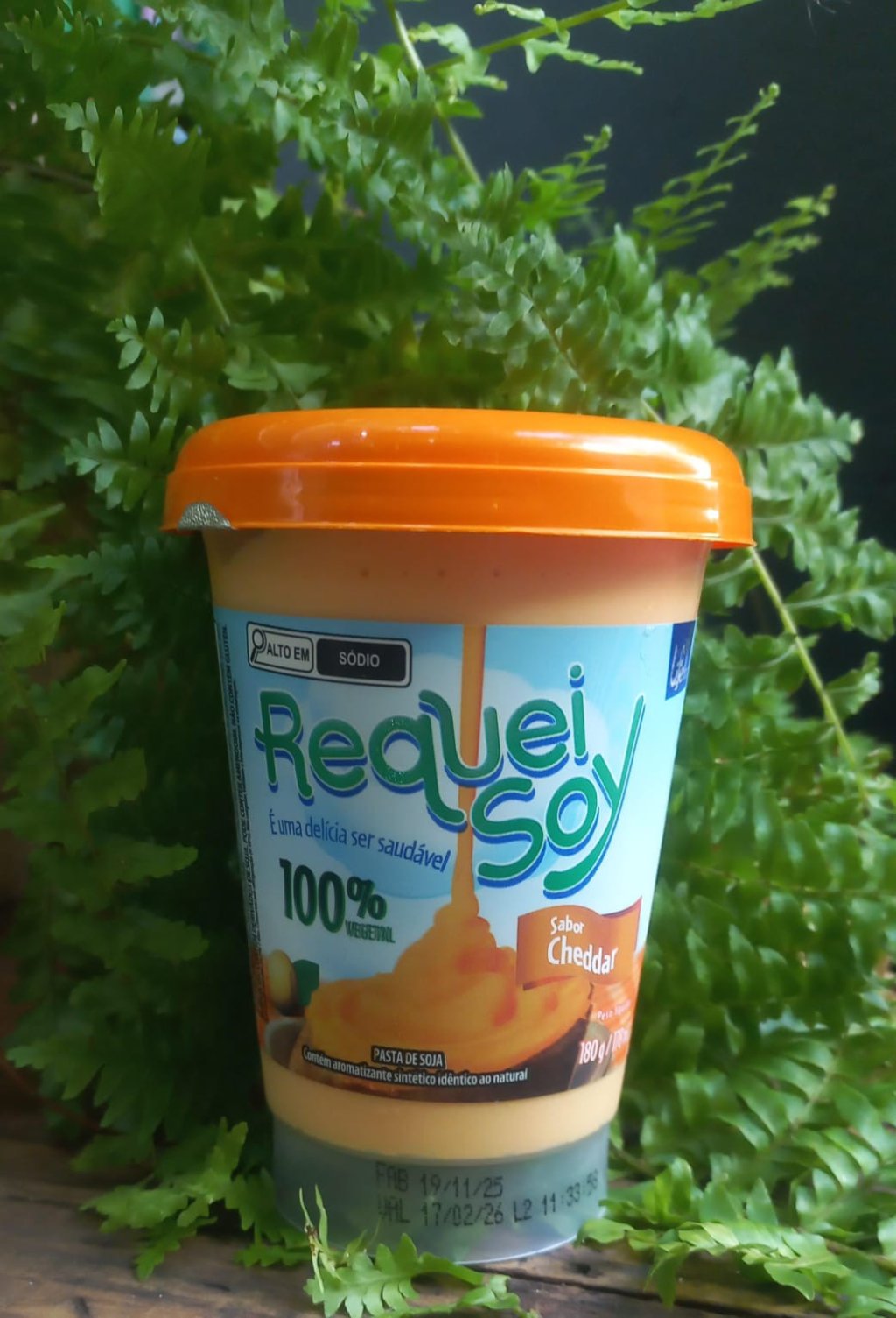 RequeiSoy | Cheddar 180g