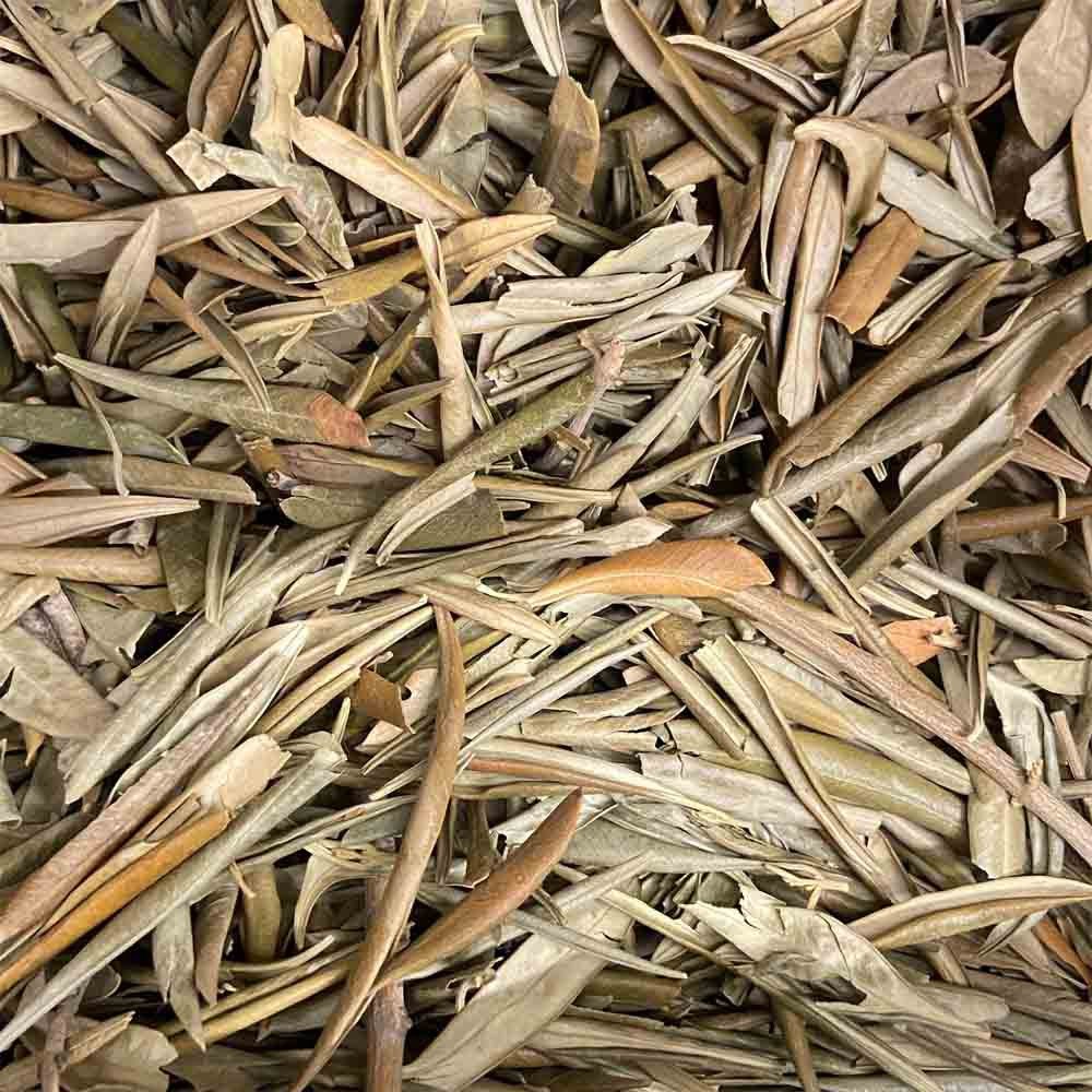 Folhas de Oliveira 100g