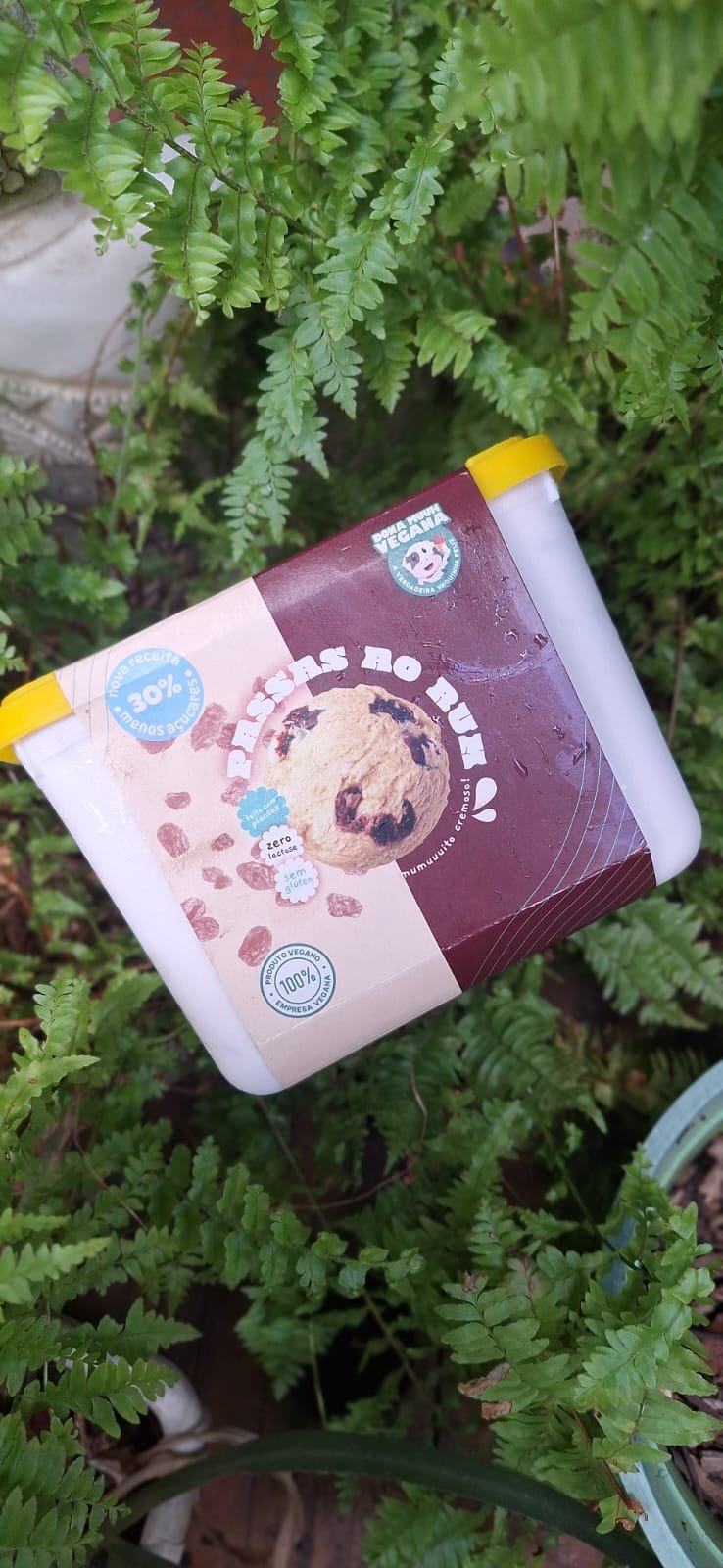 Sorvete de Passas Ao Rum | 1,5L - DONA MUUH VEGAN