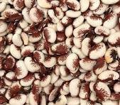 Fava vermelha - 100g -