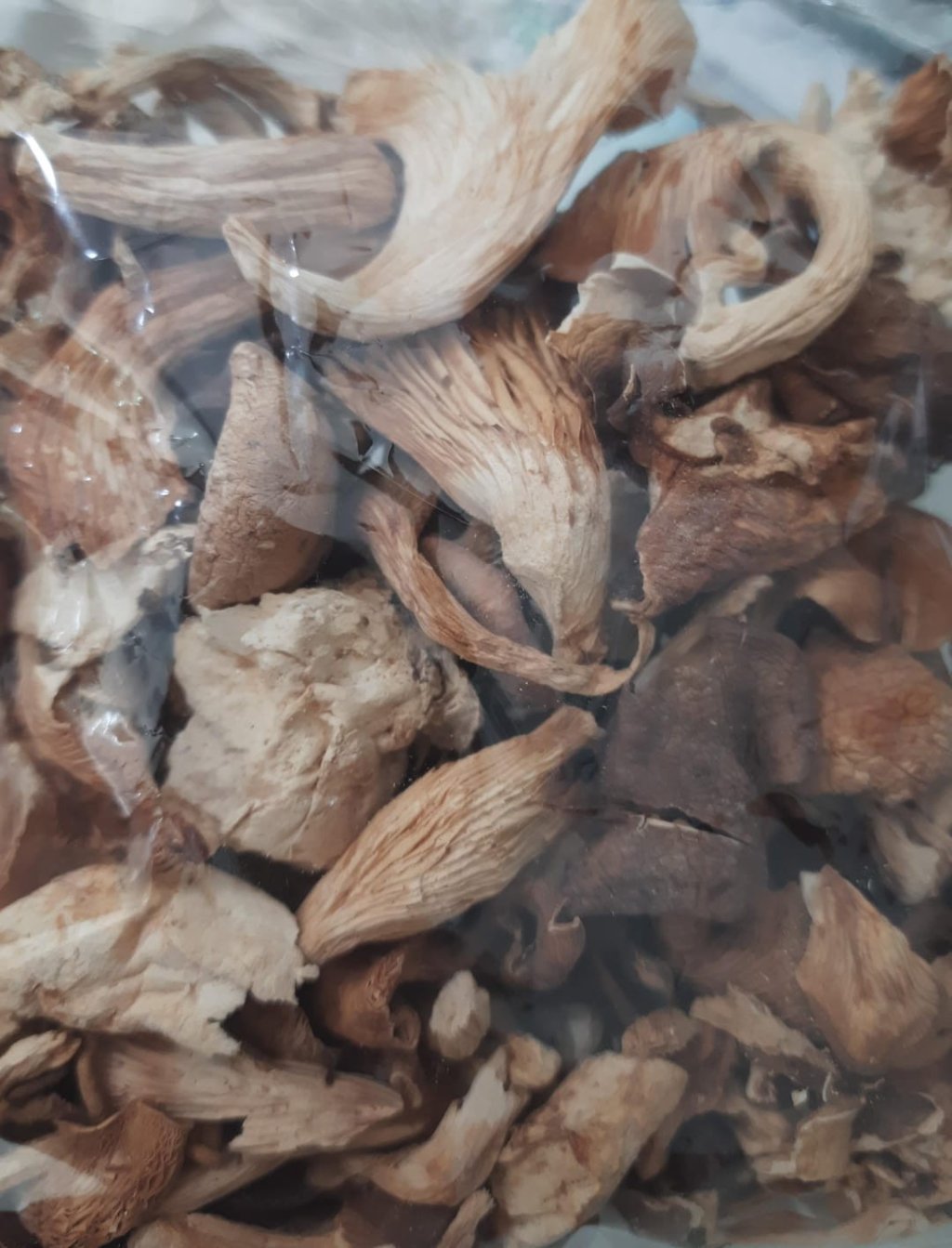 COGUMELO SHIMEJI DESIDRATADO - 50G