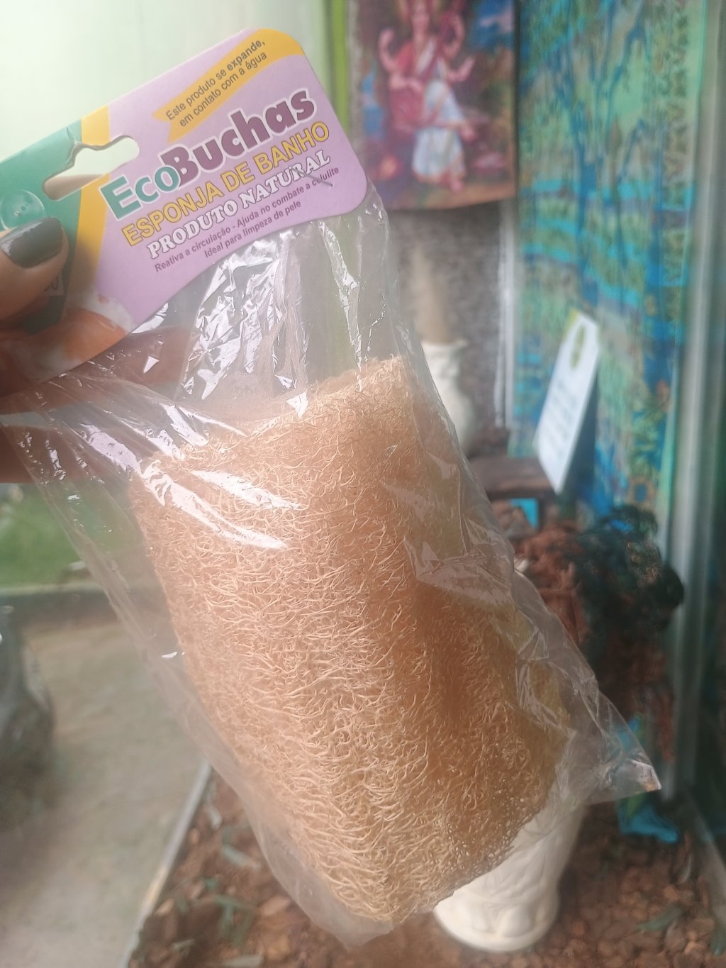ECO BUCHA - ESPONJA DE BANHO