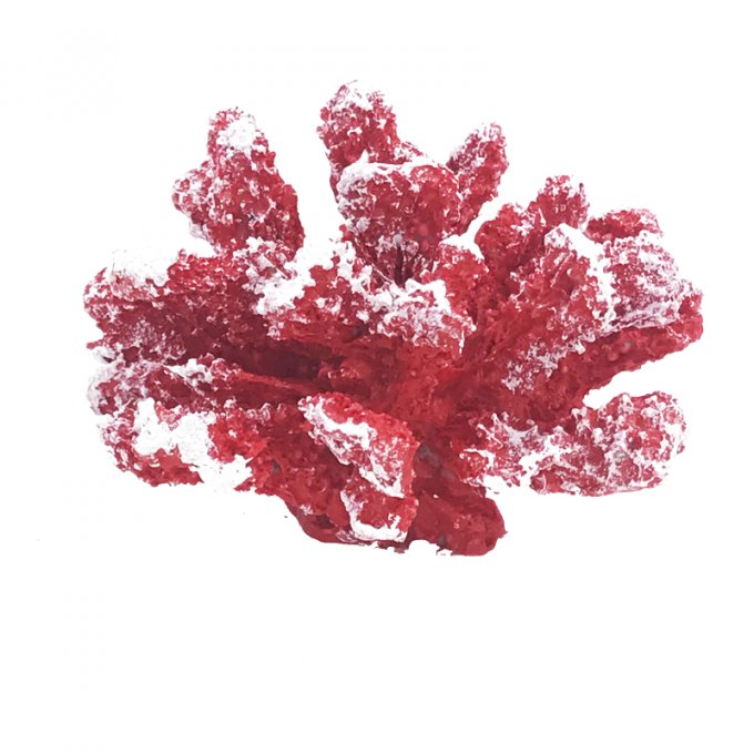Coral De Resina P Ref:22111