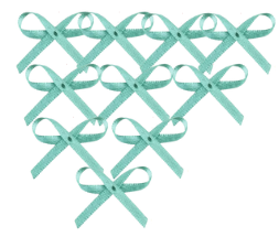 LAÇO MOSQUITINHO C/VOLTA PCT C/1000 REF:0962*