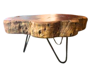 SUPORTE TRONCO COM PE G REF: 30763