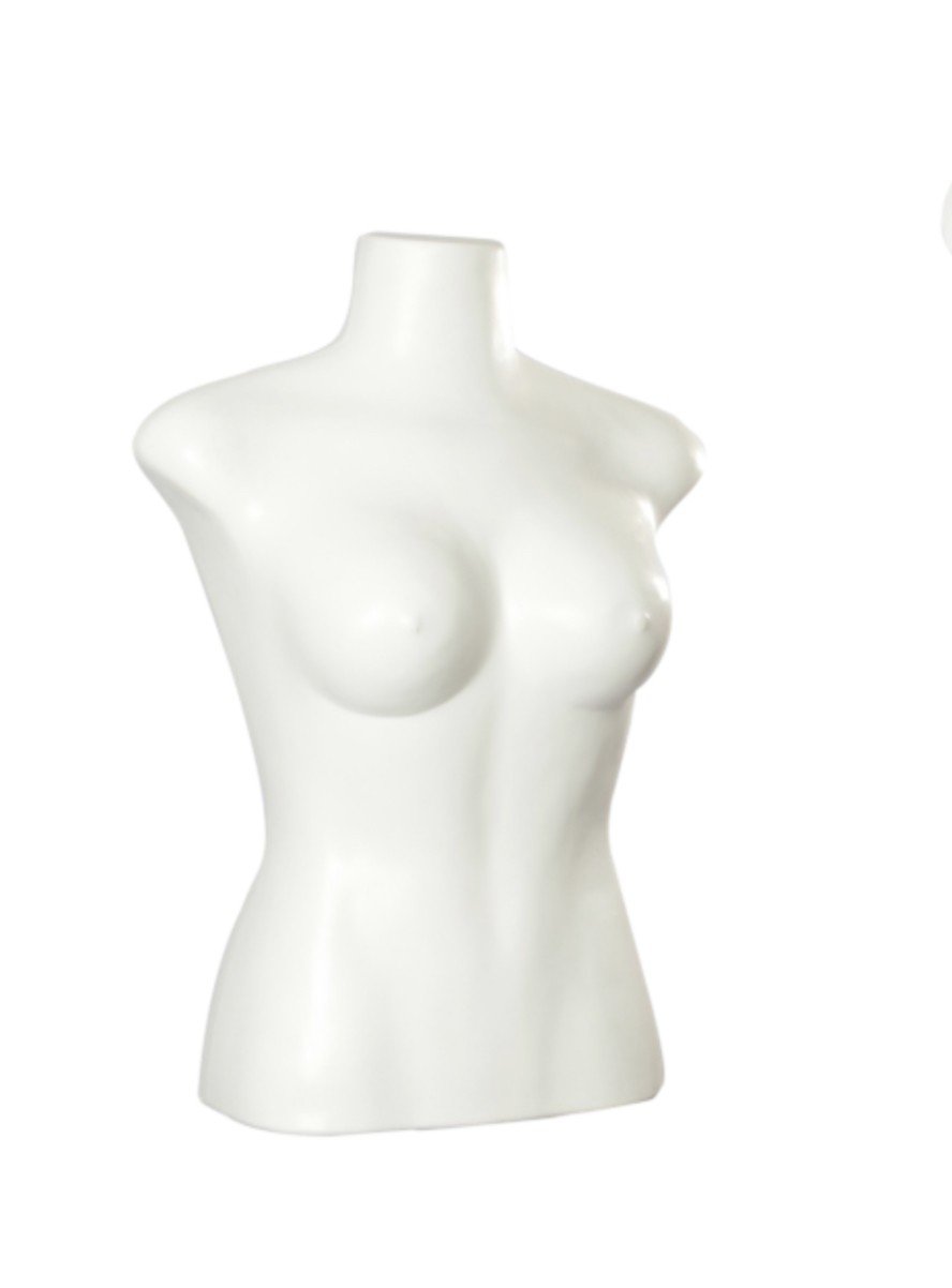 BUSTO FEMININO 