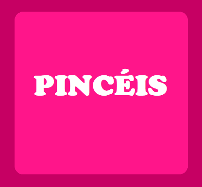 PINCEIS