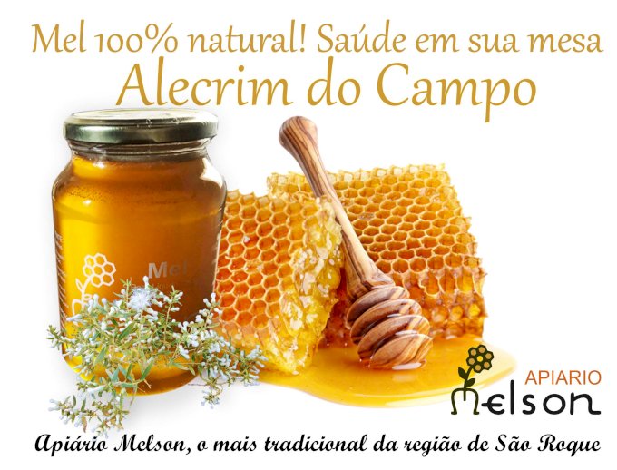Mel Alecrim do Campo Melson