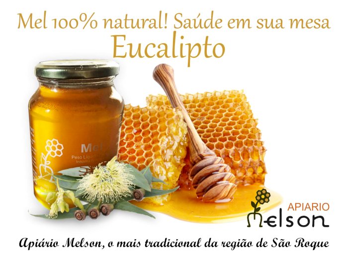 Mel Eucalipto