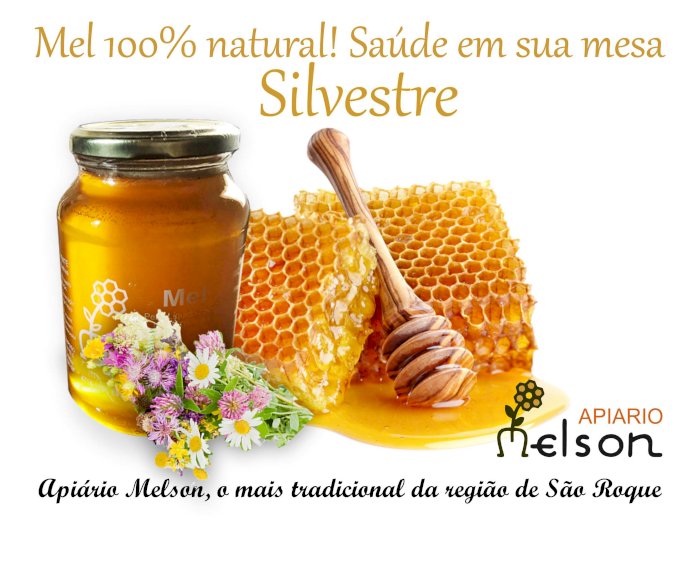 Mel Silvestre