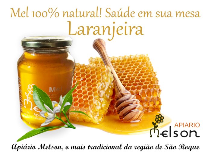 Mel laranjeira