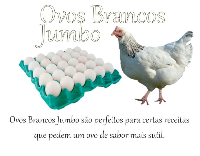 Ovos Brancos Jumbo