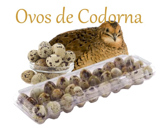 Ovos de Codorna cartela com 30 unidades