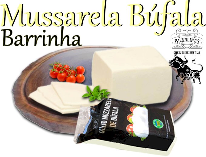 Mussarela Barrinha Bufala zero lactose