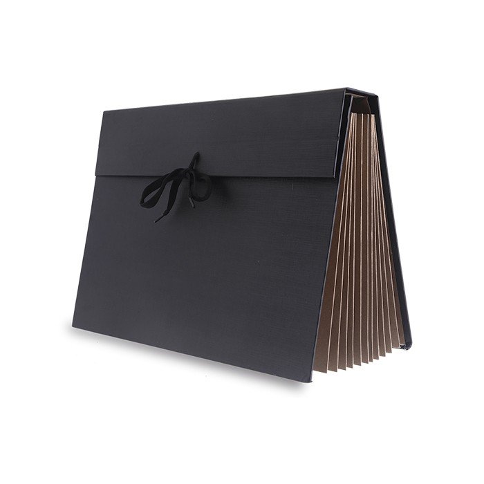 PASTA SANFONADA CLASSIC OFICIO A/Z C/31 DIVISORIAS DELLO	