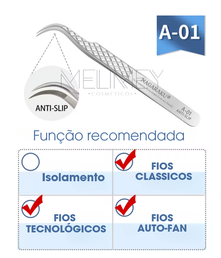 PINÇA NAGARAKU A-01