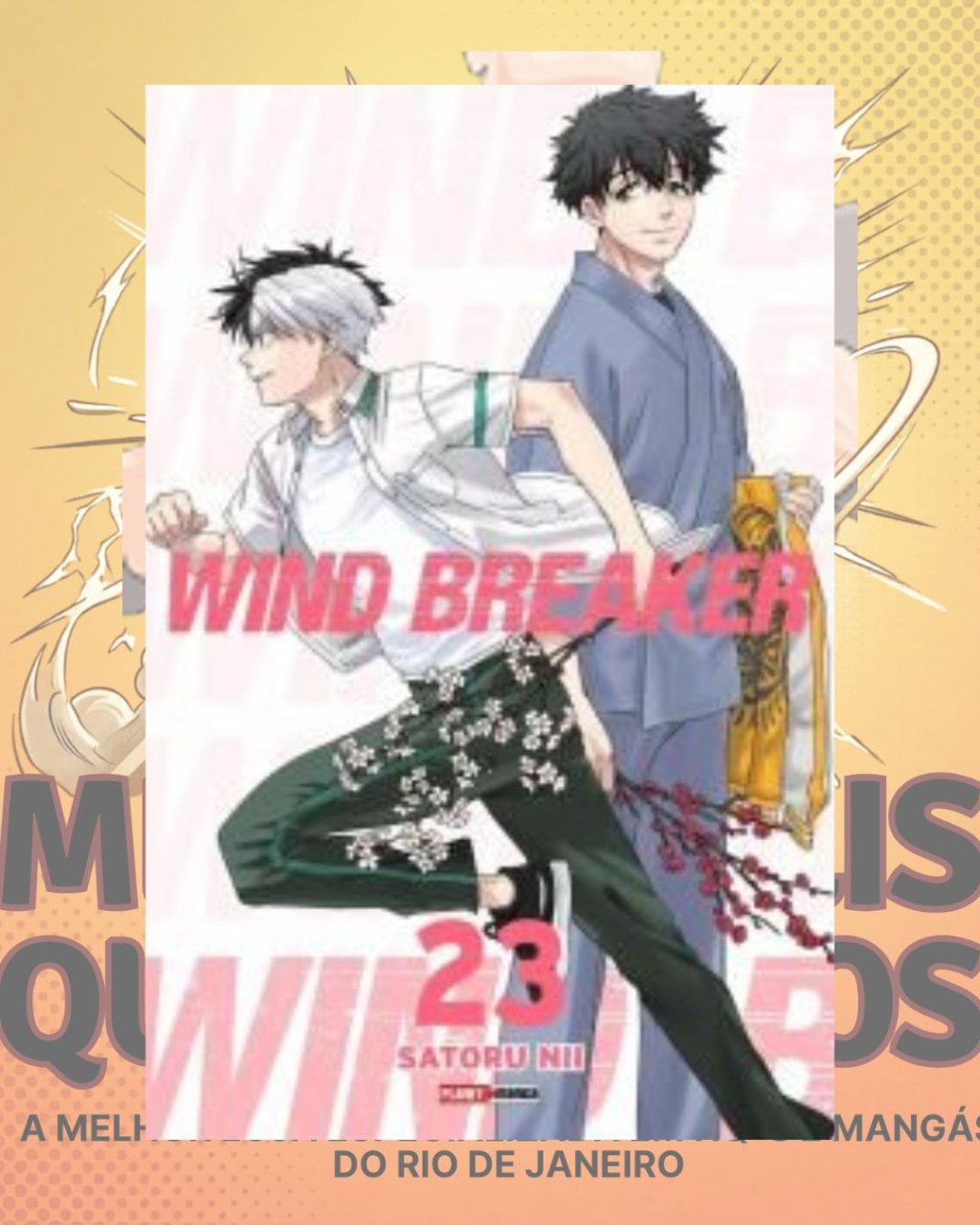 Wind Breaker Nº 23 ( Satoru Nii )