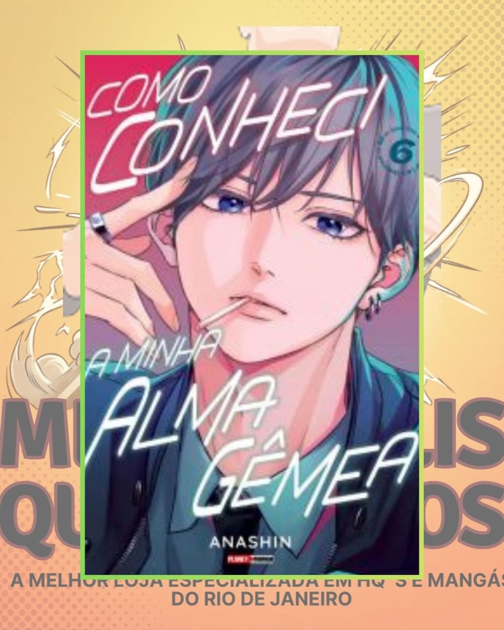 Como Conheci a Minha Alma Gêmea Nº 06 ( Anashin )
