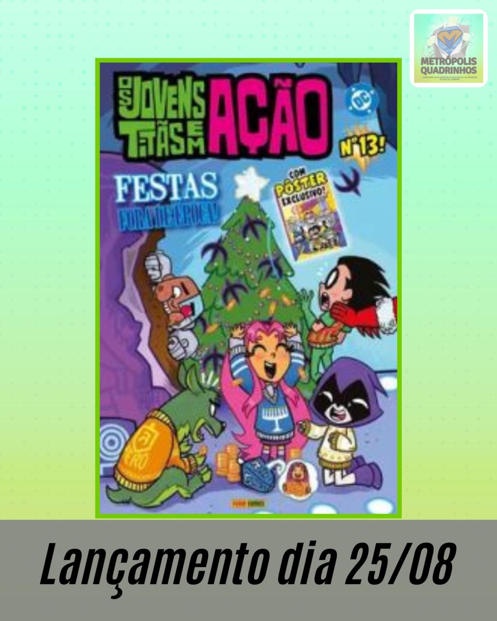 Jovens Titãs em Ação Nº 13