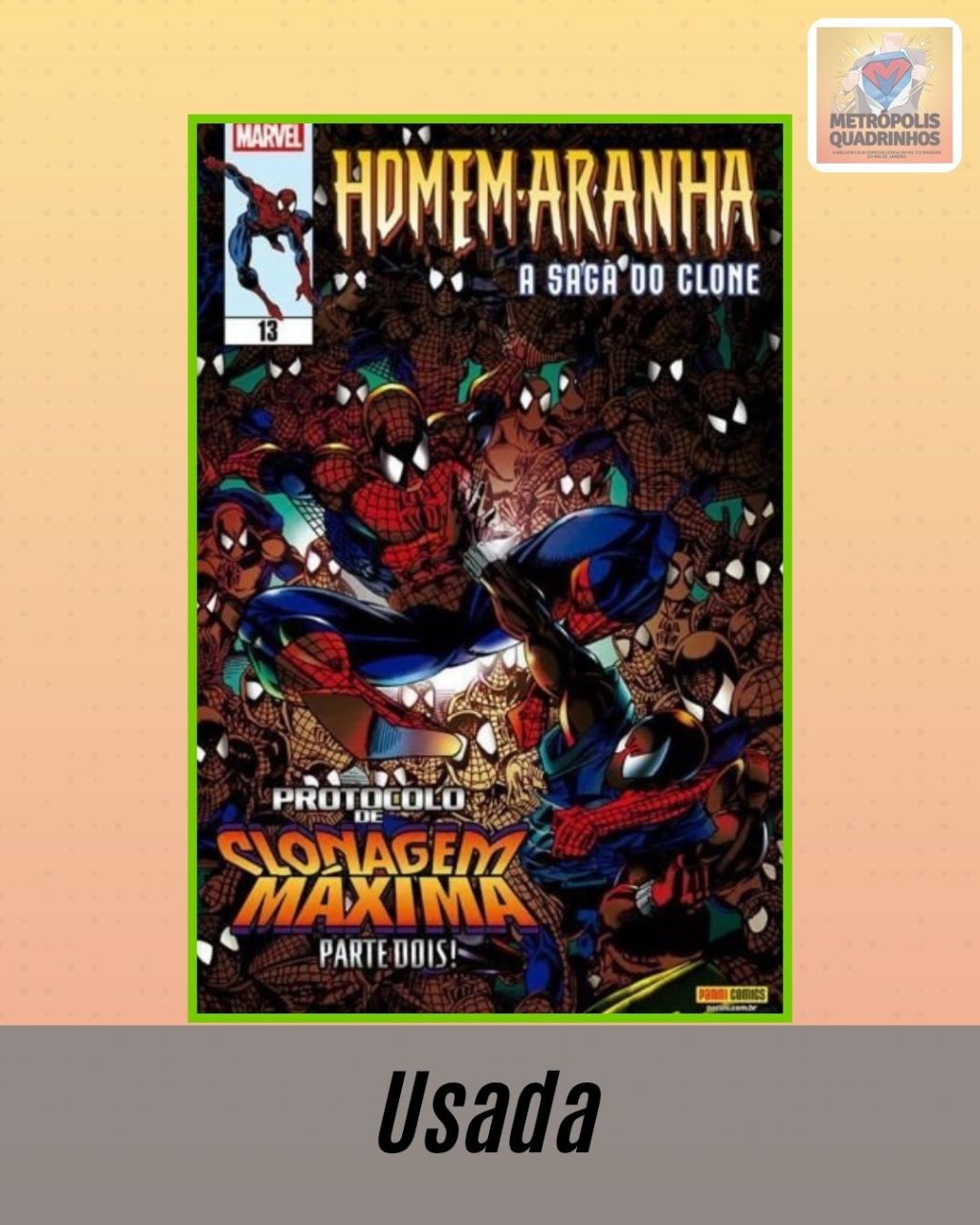 Homem Aranha: A Saga do Clone Volume 13