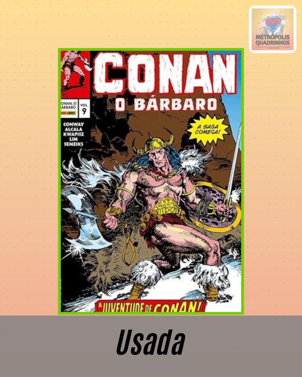 Conan o Bárbaro - A Era Clássica Volume 9 - Marvel Omnibus ( Capa Dura )