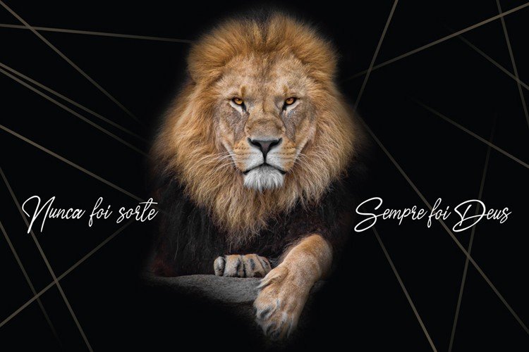 Leão Frontal Deitado Traços