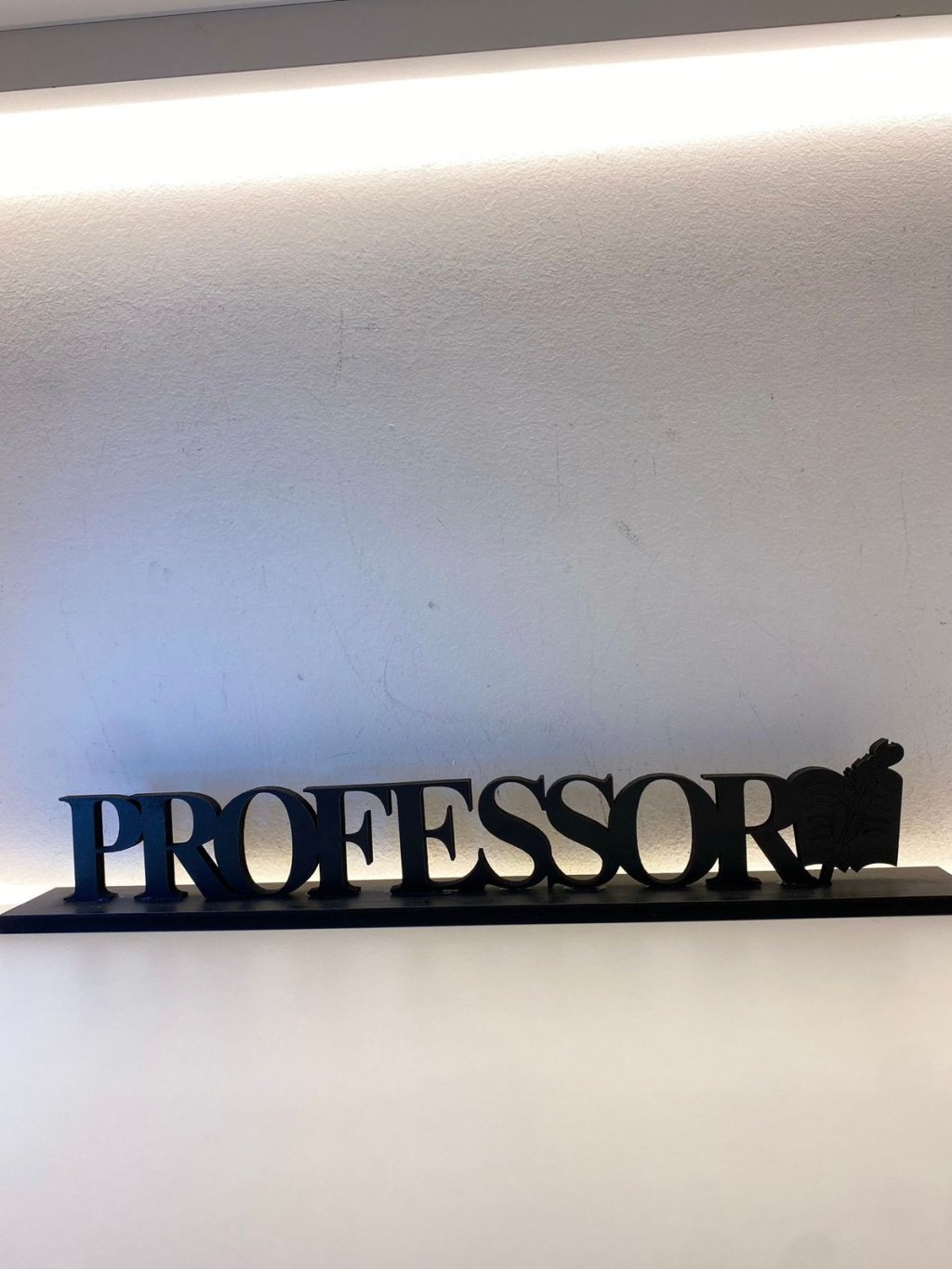 Placa Decoração Profissão Professor