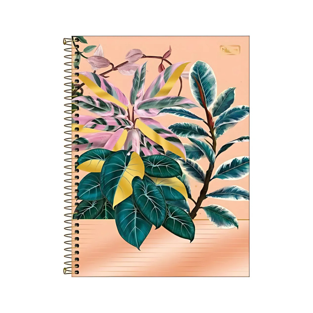 CADERNO UNIVERSITÁRIO - NATURALIS - FOLHA RECICLADA - 10 MATÉRIAS - TILIBRA